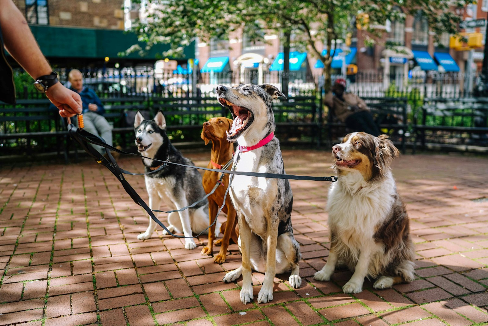 Socialización y paseo grupal